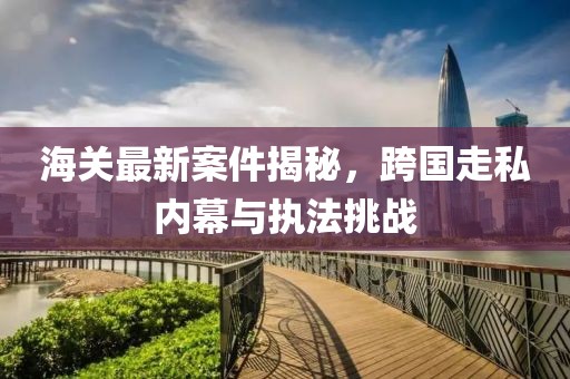 海關(guān)最新案件揭秘，跨國(guó)走私內(nèi)幕與執(zhí)法挑戰(zhàn)