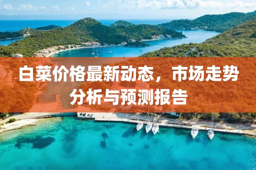 白菜價格最新動態(tài)，市場走勢分析與預(yù)測報告