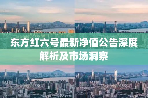 東方紅六號最新凈值公告深度解析及市場洞察