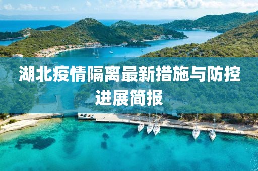 湖北疫情隔離最新措施與防控進(jìn)展簡報