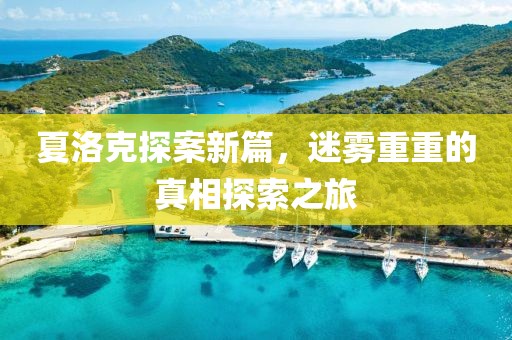 夏洛克探案新篇，迷霧重重的真相探索之旅