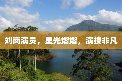 劉崗演員，星光熠熠，演技非凡