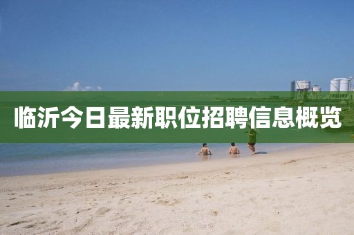 臨沂今日最新職位招聘信息概覽