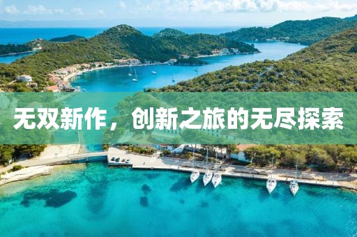 無雙新作，創(chuàng)新之旅的無盡探索