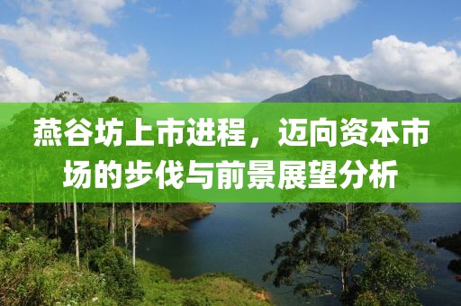 燕谷坊上市進程，邁向資本市場的步伐與前景展望分析
