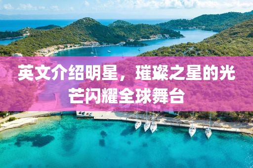 英文介紹明星，璀璨之星的光芒閃耀全球舞臺