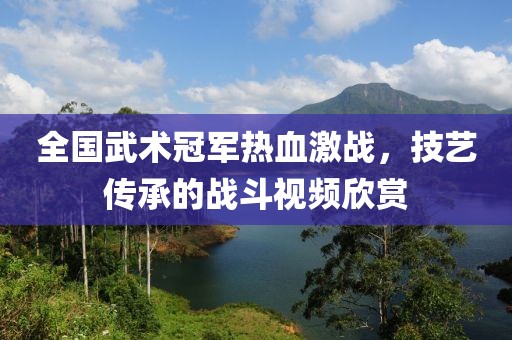 全國武術(shù)冠軍熱血激戰(zhàn)，技藝傳承的戰(zhàn)斗視頻欣賞
