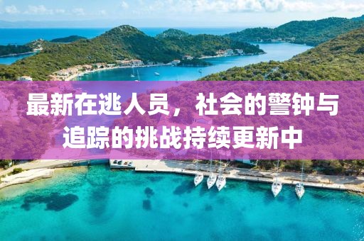最新在逃人員，社會的警鐘與追蹤的挑戰(zhàn)持續(xù)更新中