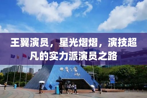 王翼演員，星光熠熠，演技超凡的實(shí)力派演員之路