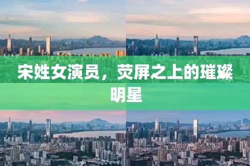 宋姓女演員，熒屏之上的璀璨明星