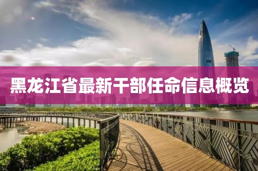 黑龍江省最新干部任命信息概覽