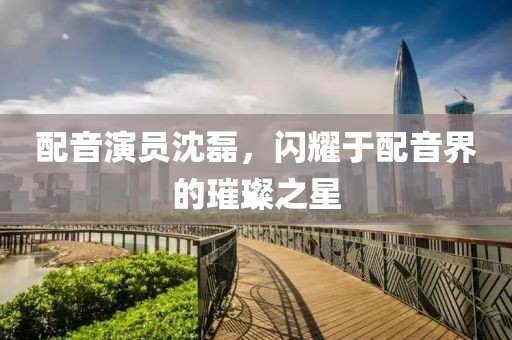 配音演員沈磊，閃耀于配音界的璀璨之星