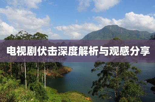 電視劇伏擊深度解析與觀感分享