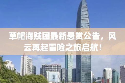 草帽海賊團(tuán)最新懸賞公告，風(fēng)云再起冒險之旅啟航！