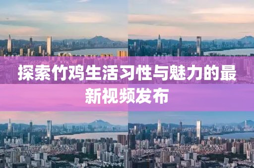 探索竹雞生活習(xí)性與魅力的最新視頻發(fā)布