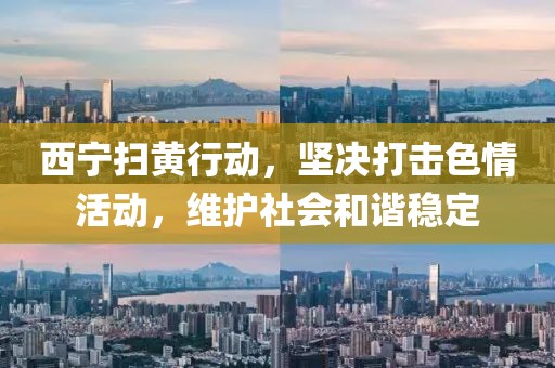 西寧掃黃行動，堅決打擊色情活動，維護社會和諧穩(wěn)定