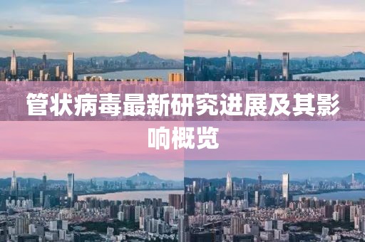 2024年12月 第17頁(yè)