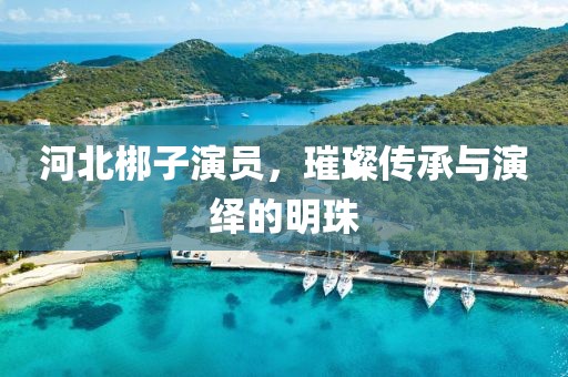 河北梆子演員，璀璨傳承與演繹的明珠