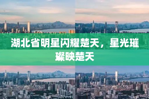 湖北省明星閃耀楚天，星光璀璨映楚天