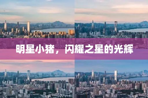 明星小豬，閃耀之星的光輝