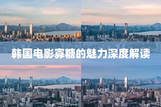 韓國電影寡糖的魅力深度解讀