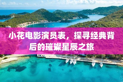 小花電影演員表，探尋經(jīng)典背后的璀璨星辰之旅