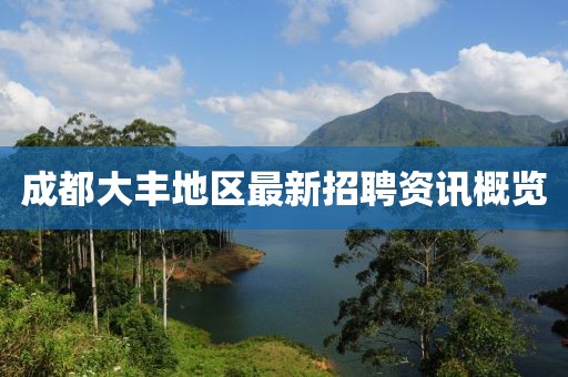 成都大豐地區(qū)最新招聘資訊概覽