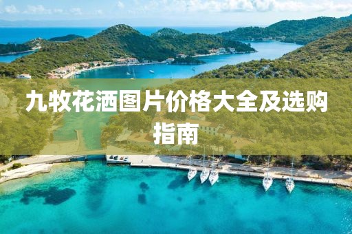 九牧花灑圖片價(jià)格大全及選購指南