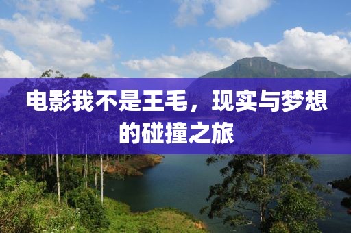 電影我不是王毛，現(xiàn)實與夢想的碰撞之旅