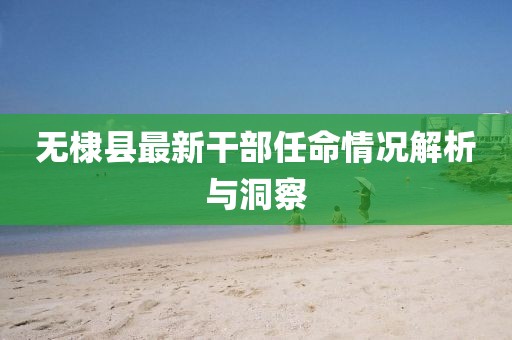 無(wú)棣縣最新干部任命情況解析與洞察