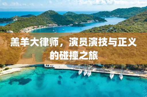 羔羊大律師，演員演技與正義的碰撞之旅