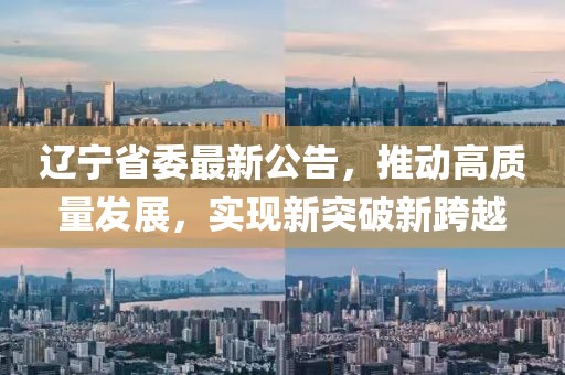 遼寧省委最新公告，推動(dòng)高質(zhì)量發(fā)展，實(shí)現(xiàn)新突破新跨越