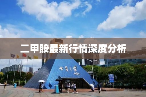 稻城 第11頁(yè)