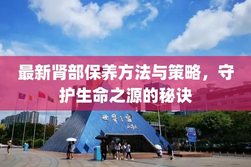 最新腎部保養(yǎng)方法與策略，守護(hù)生命之源的秘訣
