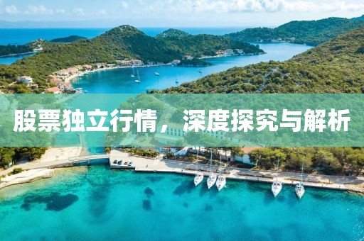 股票獨立行情，深度探究與解析