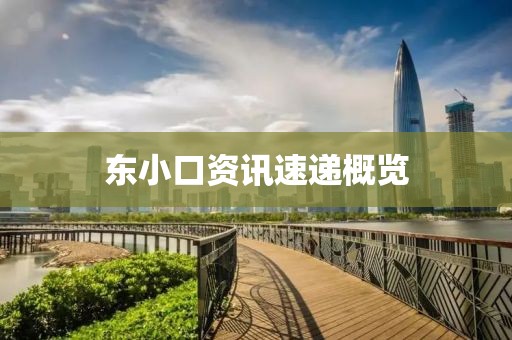 東小口資訊速遞概覽