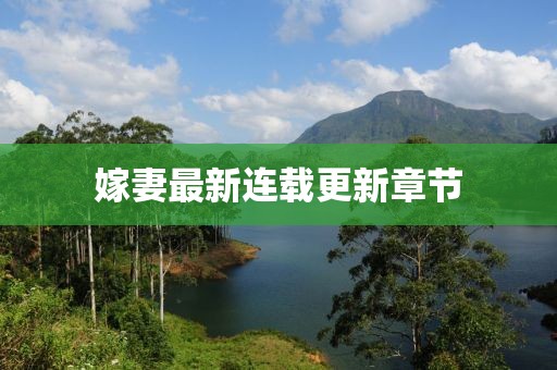 遠(yuǎn)遠(yuǎn)的望去 第13頁(yè)