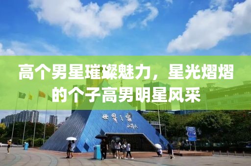 高個男星璀璨魅力，星光熠熠的個子高男明星風(fēng)采