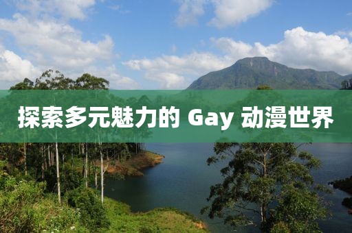 探索多元魅力的 Gay 動(dòng)漫世界