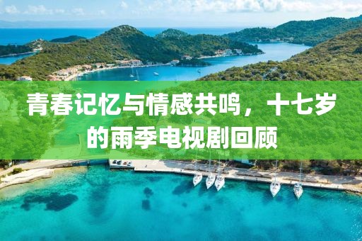 青春記憶與情感共鳴，十七歲的雨季電視劇回顧