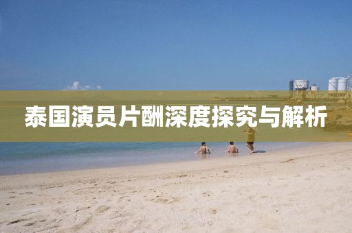 泰國(guó)演員片酬深度探究與解析