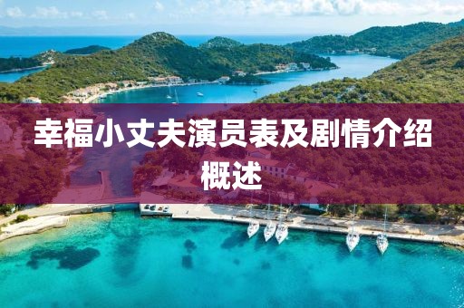 幸福小丈夫演員表及劇情介紹概述