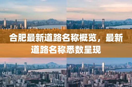 合肥最新道路名稱概覽，最新道路名稱悉數(shù)呈現(xiàn)
