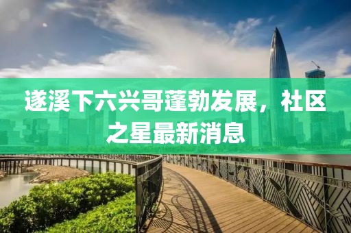遂溪下六興哥蓬勃發(fā)展，社區(qū)之星最新消息