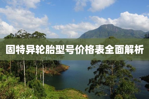 固特異輪胎型號(hào)價(jià)格表全面解析