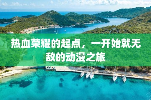 熱血榮耀的起點(diǎn)，一開始就無敵的動漫之旅