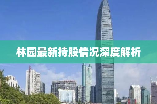 林園最新持股情況深度解析
