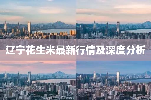 遼寧花生米最新行情及深度分析
