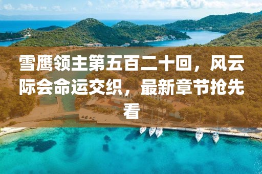 雪鷹領(lǐng)主第五百二十回，風(fēng)云際會(huì)命運(yùn)交織，最新章節(jié)搶先看