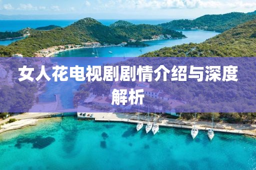 女人花電視劇劇情介紹與深度解析